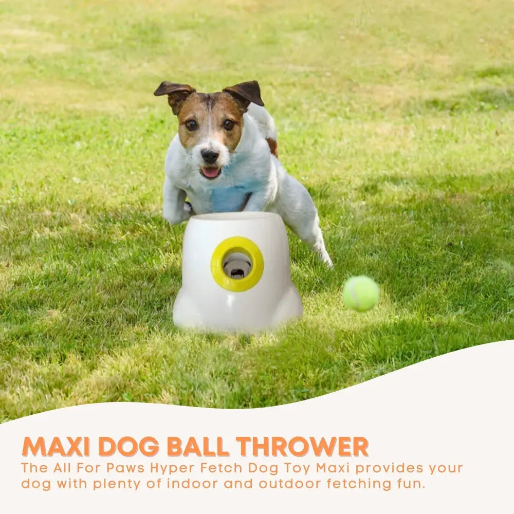 Hyper Fetch Maxi Dog Ball Thrower - Large Interactive Pet Toy Launcher - Pet Care > Toys > Dog Toys