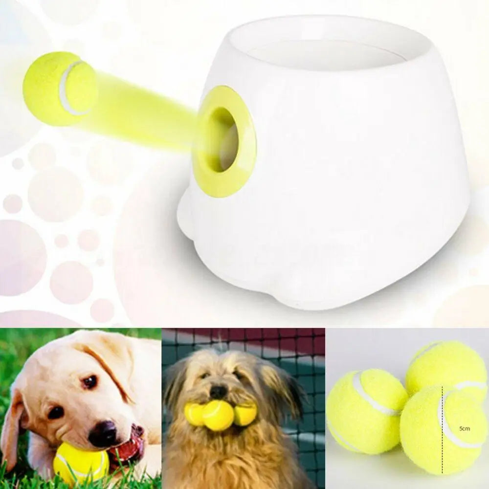 Hyper Fetch Mini Dog Ball Thrower - Small Interactive Pet Toy Launcher - Pet Care > Toys > Dog Toys