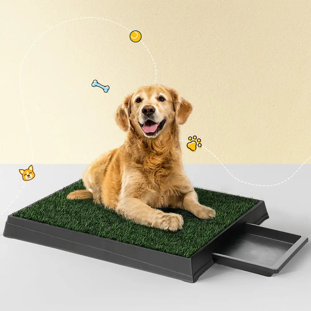 i.Pet Pet Training Pad Dog Potty Toilet Large Portable With Tray Grass 2 Mats - Pet Care > Dog Supplies > Dog Training