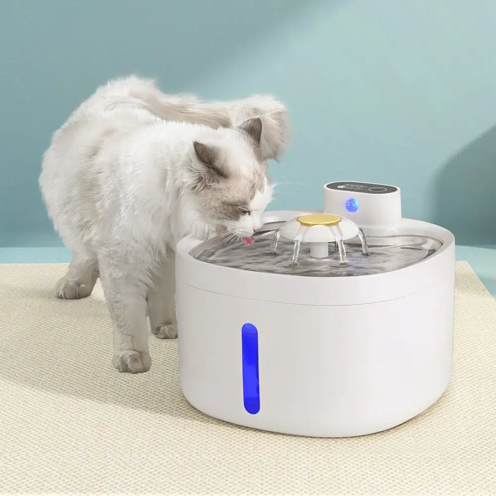 i.Pet Pet Water Fountain Feeder Dispenser Filter Dog Cat Drinking Automatic 2.6L - Pet Care > Cat Supplies > Cat Bowls