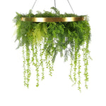 Imitation Gold Artificial Hanging Green Wall Disc 80cm (Limited Edition) UV Resistant Foliage - Home & Garden >