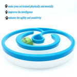 Interactive Cat Track Circle with LED Sound Light Rolling Ball - Chase Play Toy - Pet Care > Toys > Cat Toys