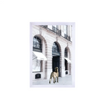 Interior Ave - Catwalk - 90cm x 60cm White Framed Artwork - Home & Garden > Wall Art