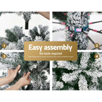 Jingle Jollys Christmas Tree 2.1M Xmas Trees Decorations Snowy 1106 Tips - Occasions > Christmas > Christmas Trees
