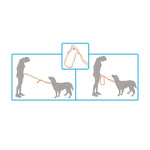 Jogging Dog Bungee Leash - Adjustable Waist Belt Bag + Hands Free Walking Lead - Pet Care > Dog Supplies > Dog Collars