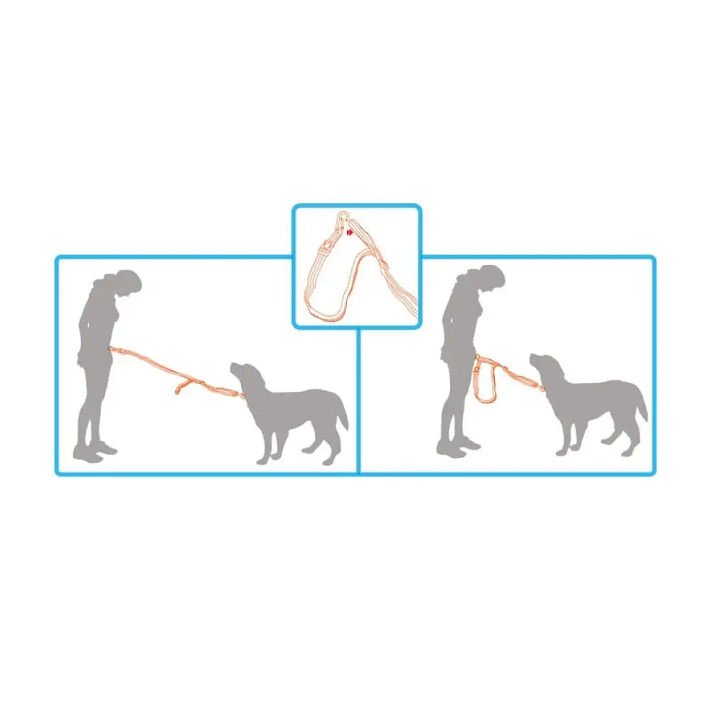 Jogging Dog Bungee Leash - Adjustable Waist Belt Bag + Hands Free Walking Lead - Pet Care > Dog Supplies > Dog Collars