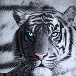 Just Home Set of 3 Printed Blue Eyes Stripes Tiger Wall Canvas - Home & Garden > Wall Art