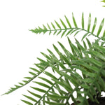 Large Artificial Hanging Basket (Fern Hanging Basket) - Home & Garden > Home & Garden Others