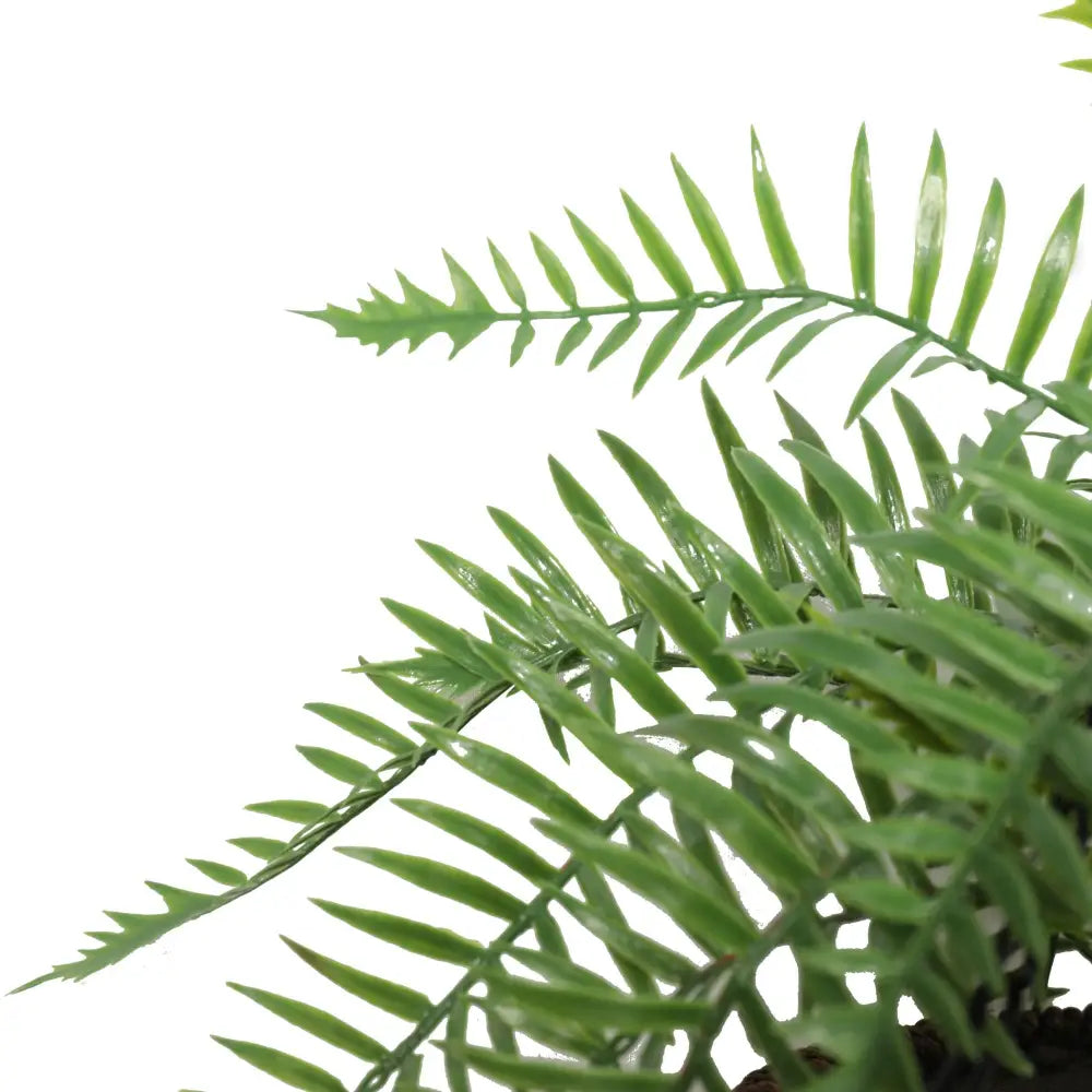 Large Artificial Hanging Basket (Fern Hanging Basket) - Home & Garden > Home & Garden Others