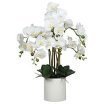Large Multi-Stem White Potted Faux Orchid 65cm - Home & Garden > Artificial Plants