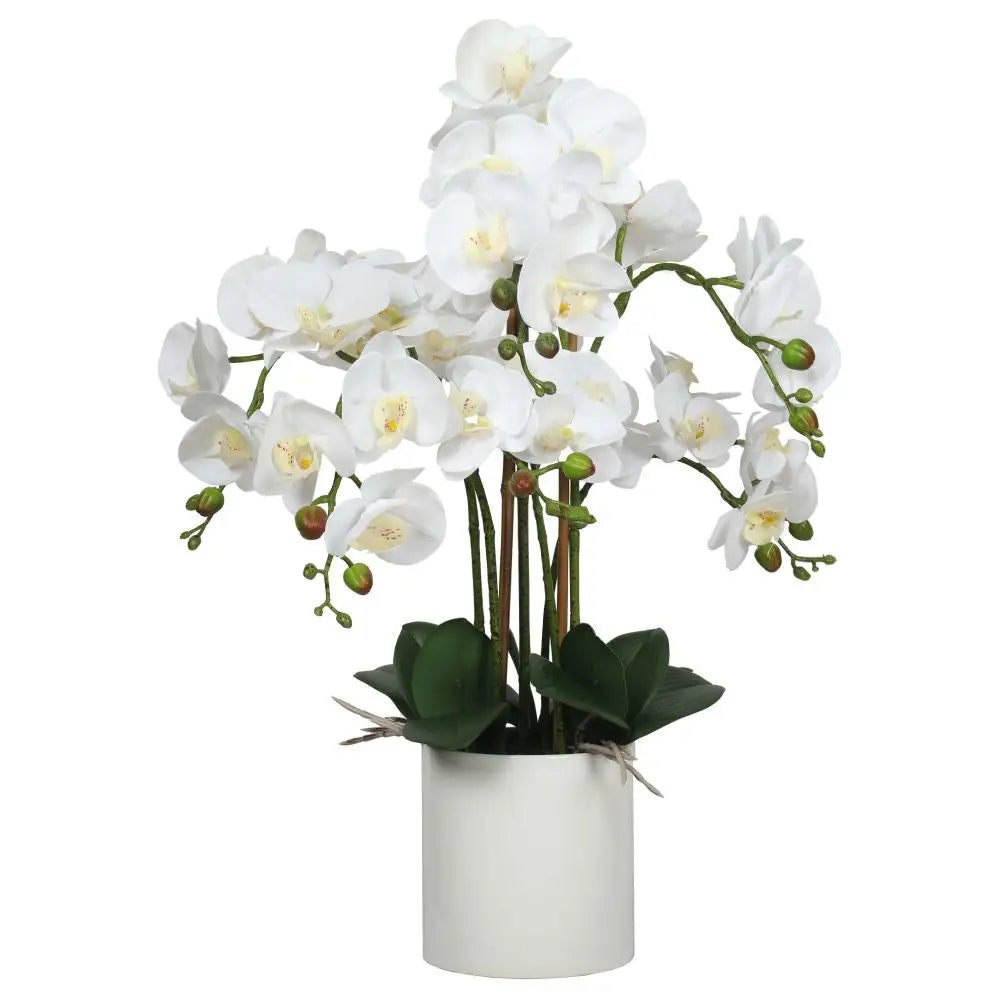 Large Multi-Stem White Potted Faux Orchid 65cm - Home & Garden > Artificial Plants