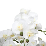 Large Multi-Stem White Potted Faux Orchid 65cm - Home & Garden > Artificial Plants