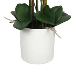 Large Multi-Stem White Potted Faux Orchid 65cm - Home & Garden > Artificial Plants