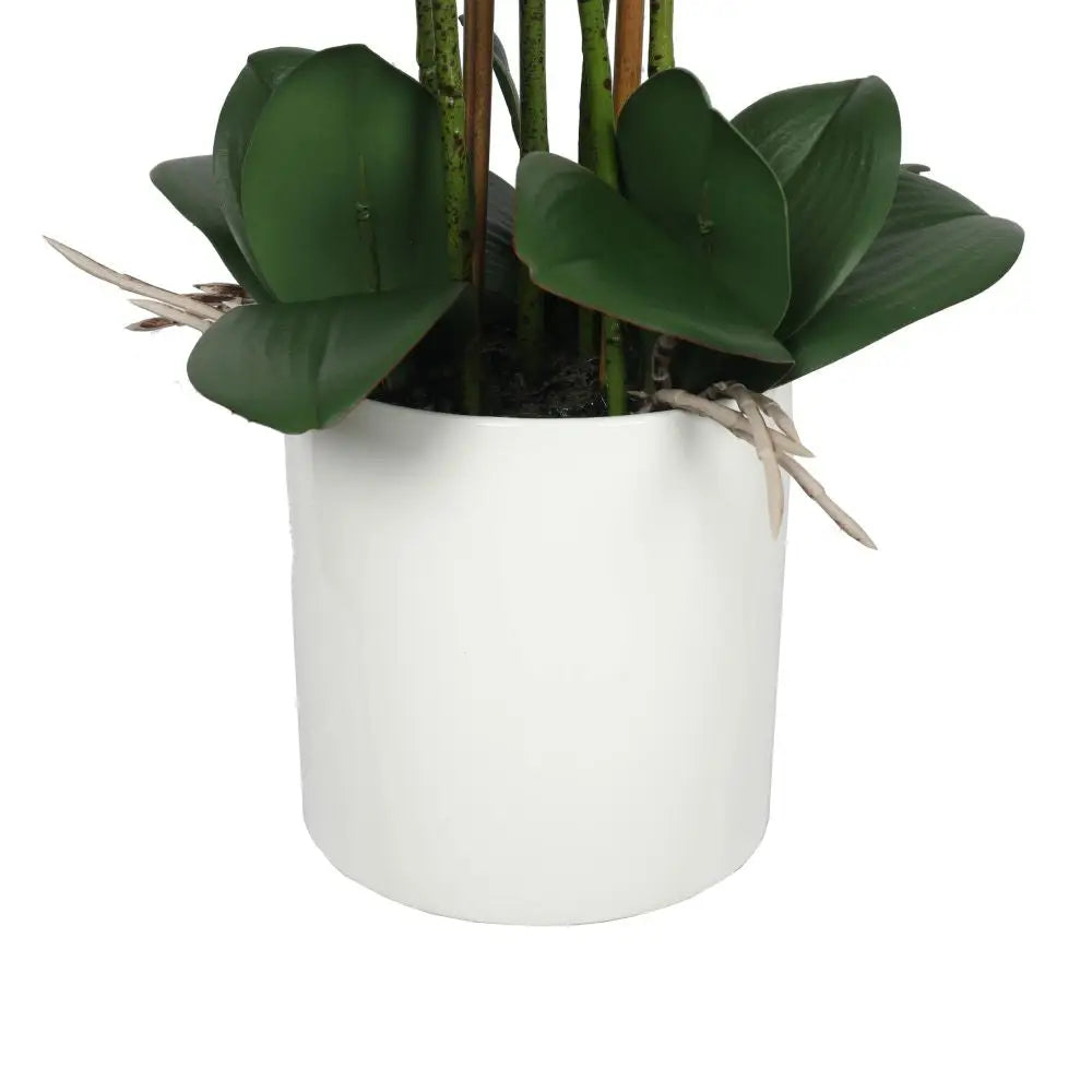 Large Multi-Stem White Potted Faux Orchid 65cm - Home & Garden > Artificial Plants