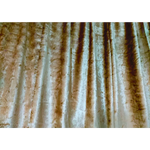 Large Thick Velvet Curtains Warp Knitted Velvet 550x270cm + 30 Hooks Pinch Pleat - Home & Garden > Curtains > Curtains