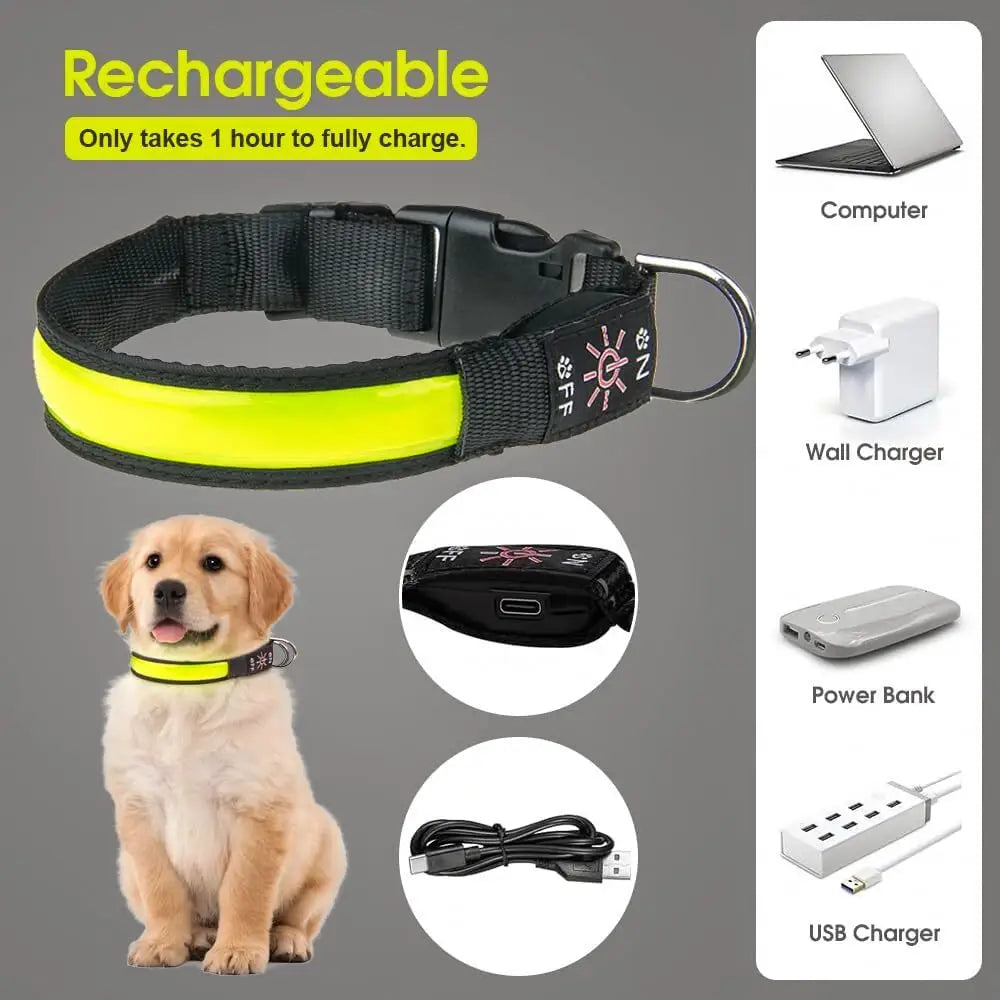 LED Dog Cat Collar USB Rechargeable Nylon Glow Flashing Light Up Safety Puppy - Pet Care > Dog Supplies > Dog Collars