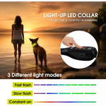 LED Dog Cat Collar USB Rechargeable Nylon Glow Flashing Light Up Safety Puppy - Pet Care > Dog Supplies > Dog Collars