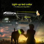 LED Dog Cat Collar USB Rechargeable Nylon Glow Flashing Light Up Safety Puppy - Pet Care > Dog Supplies > Dog Collars