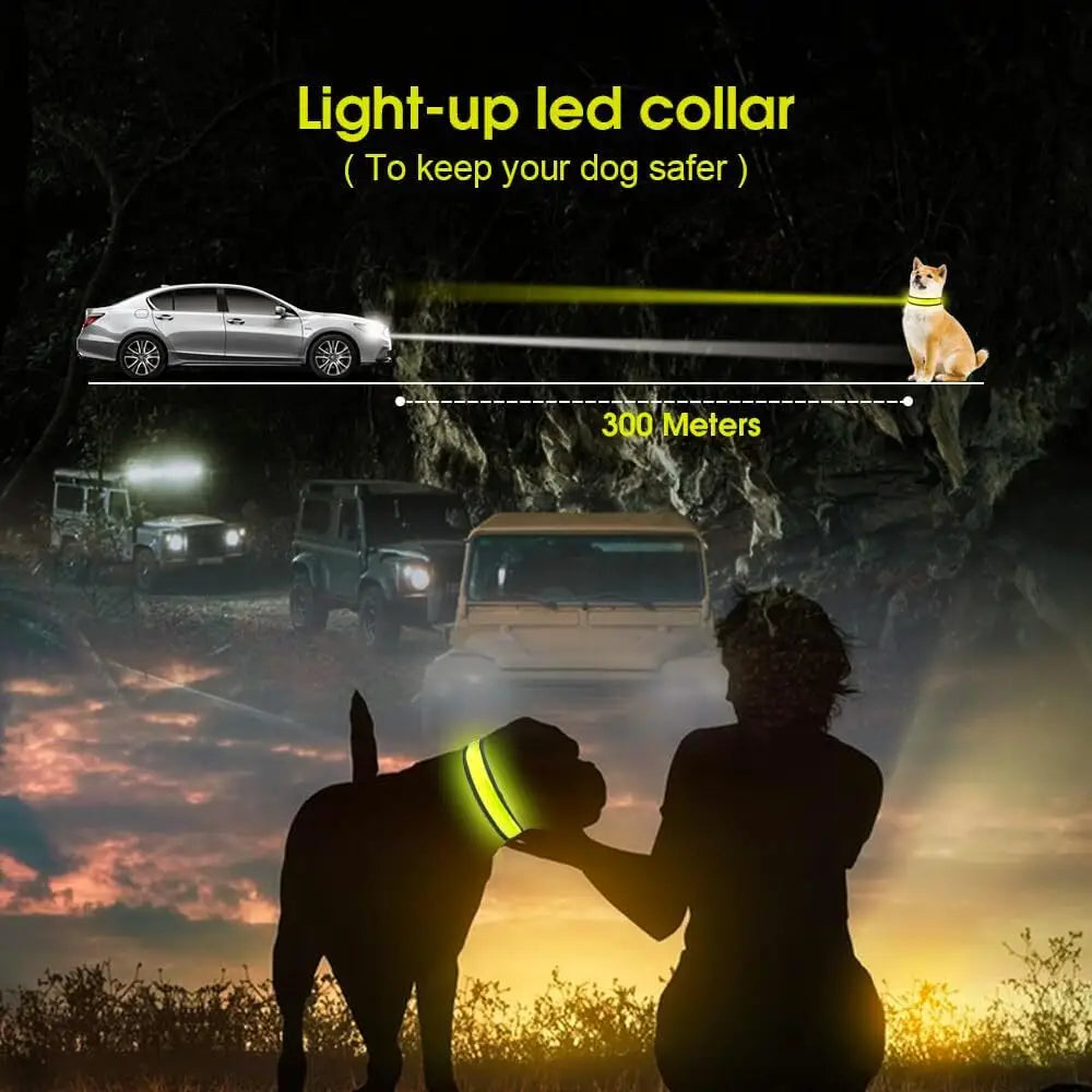 LED Dog Cat Collar USB Rechargeable Nylon Glow Flashing Light Up Safety Puppy - Pet Care > Dog Supplies > Dog Collars