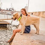 LED Dog Cat Collar USB Rechargeable Nylon Glow Flashing Light Up Safety Puppy - Pet Care > Dog Supplies > Dog Collars
