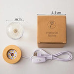Luminous 3D Dandelion Crystal Ball Beech Wood Stand Base Preserved Flower Sphere Ball Desktop Ornaments Bithday