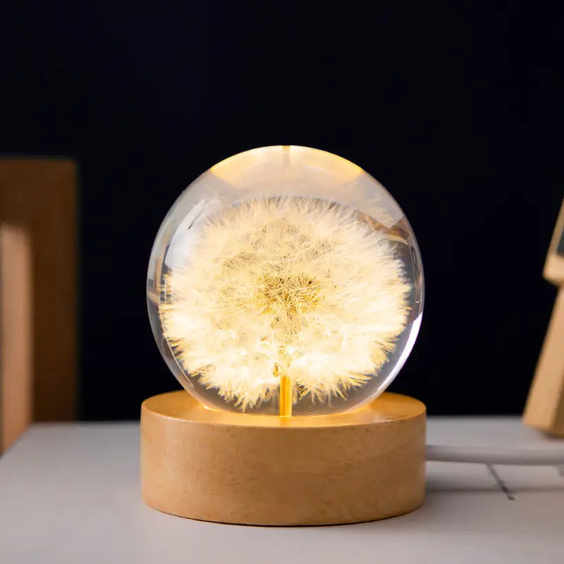 Luminous 3D Dandelion Crystal Ball Beech Wood Stand Base Preserved Flower Sphere Ball Desktop Ornaments Bithday