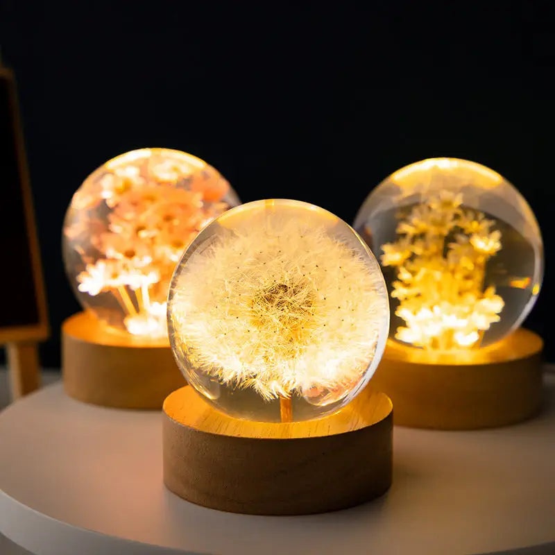 Luminous 3D Dandelion Crystal Ball Beech Wood Stand Base Preserved Flower Sphere Ball Desktop Ornaments Bithday