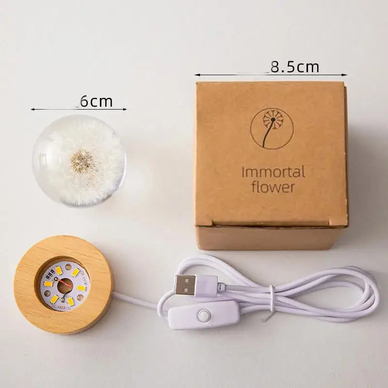 Luminous 3D Dandelion Crystal Ball Beech Wood Stand Base Preserved Flower Sphere Ball Desktop Ornaments Bithday