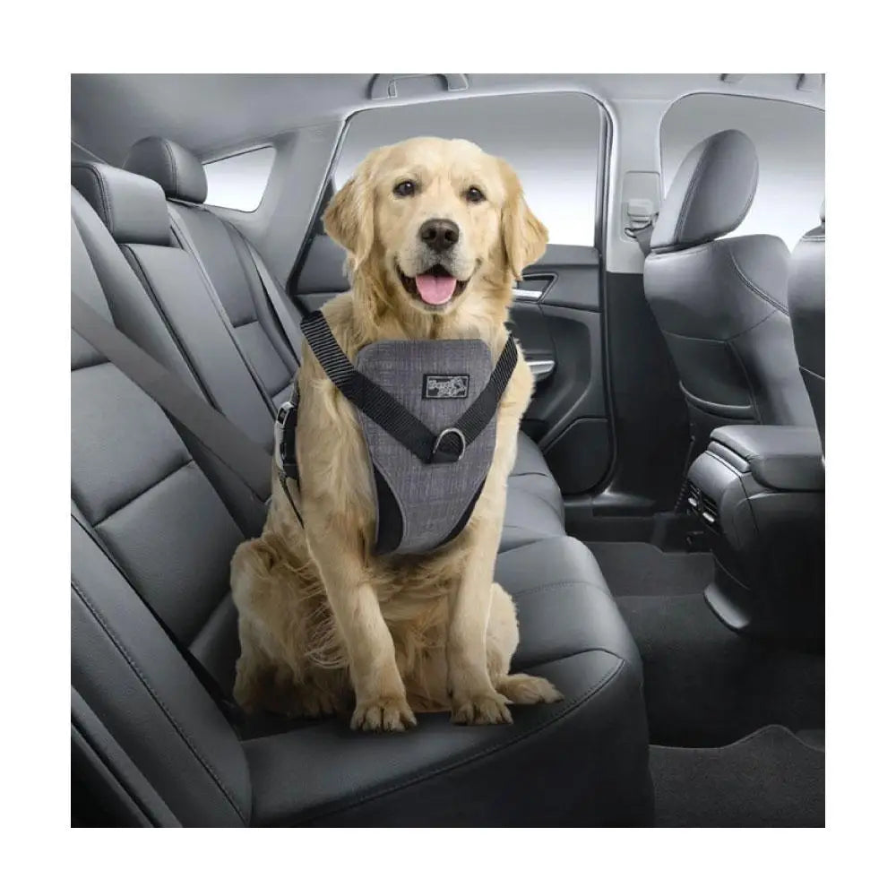 M Dog Harness 2 in 1 Combo - Car Travel Rides + Walks - No Pull Leash Seat Belt - Pet Care > Dog Supplies > Dog Collars