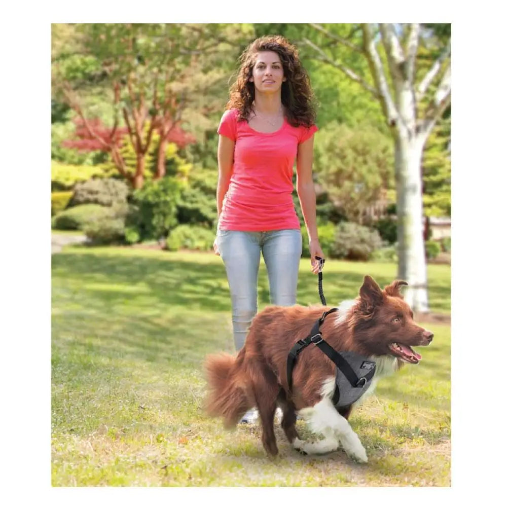 M Dog Harness 2 in 1 Combo - Car Travel Rides + Walks - No Pull Leash Seat Belt - Pet Care > Dog Supplies > Dog Collars