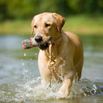 Major Dog Buoy Dummy - Small - Fetch Toy - Pet Care > Toys > Dog Toys