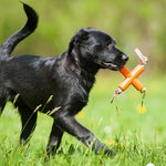 Major Dog Fetch X Toy for Small Dogs - Pet Care > Toys > Dog Toys