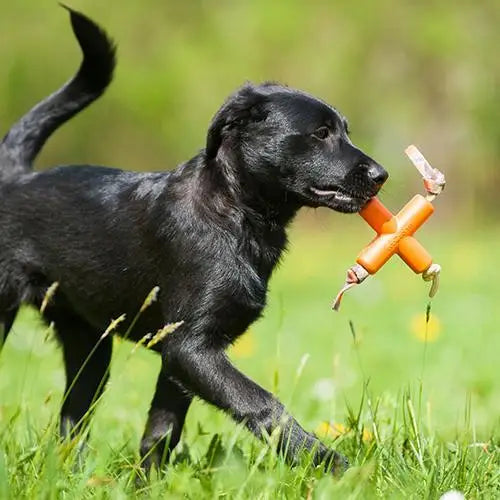 Major Dog Fetch X Toy for Small Dogs - Pet Care > Toys > Dog Toys