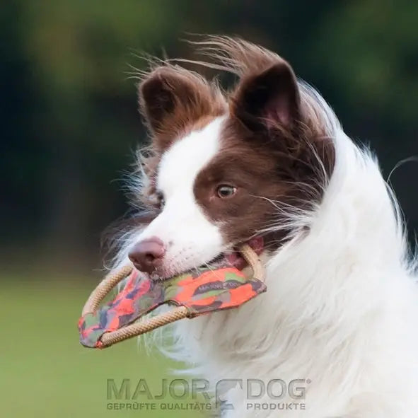 Major Dog Mini Frisbee - Fetch Toy - Pet Care > Toys > Dog Toys
