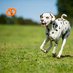 Major Dog Octopus Retrieval Ball - Large - Fetch Toy - Pet Care > Toys > Dog Toys
