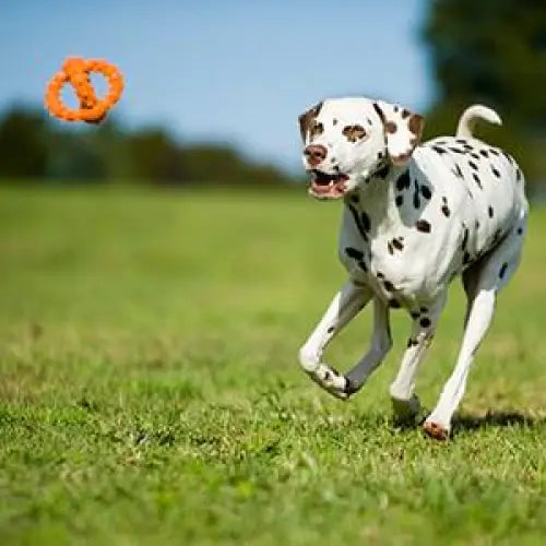 Major Dog Octopus Retrieval Ball - Large - Fetch Toy - Pet Care > Toys > Dog Toys