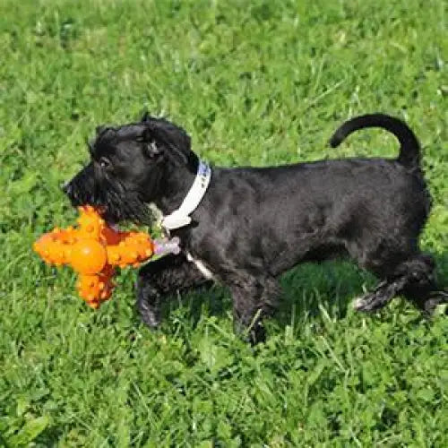 Major Dog Octopus Retrieval Ball - Small - Fetch Toy - Pet Care > Toys > Dog Toys