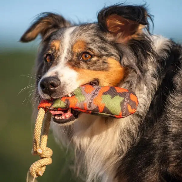 Major Dog Rascal Dummy - Fetch Toy - Pet Care > Toys > Dog Toys