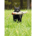 Major Dog Ratzi Rat - Pet Care > Dog Supplies > Dog Beds
