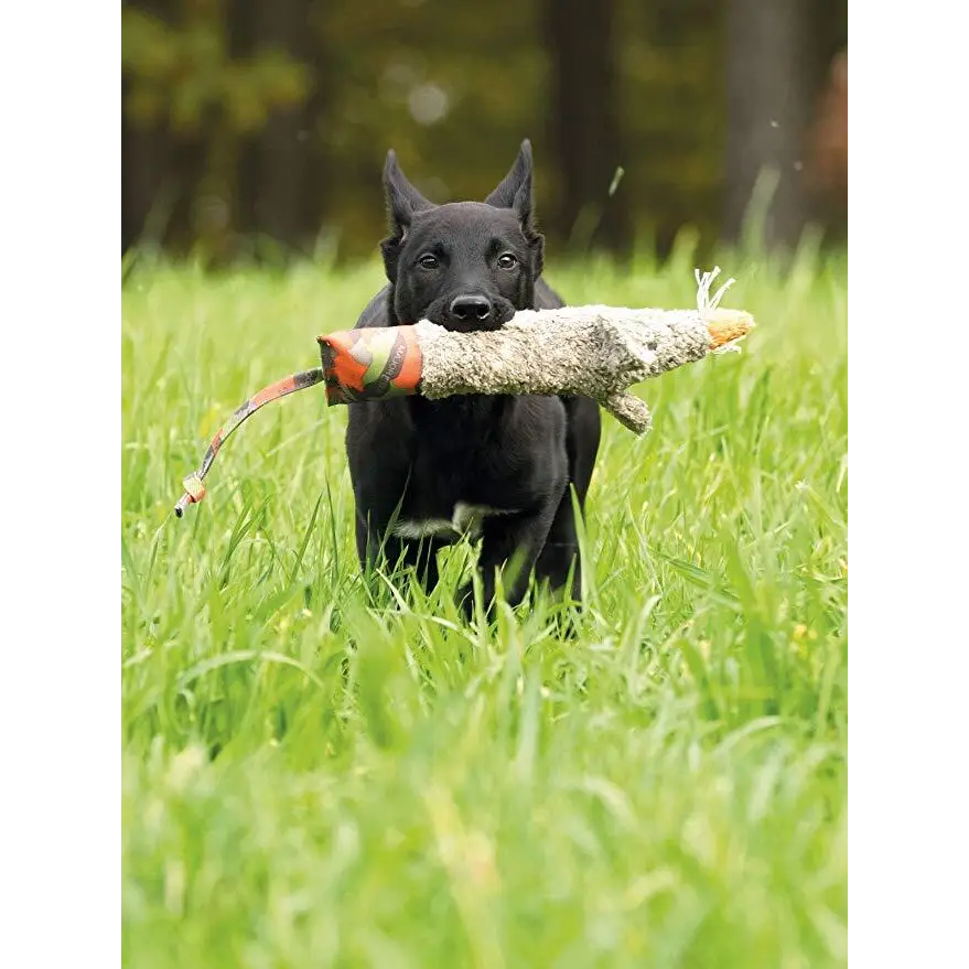 Major Dog Ratzi Rat - Pet Care > Dog Supplies > Dog Beds
