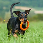 Major Dog Ring Rudi Fetch Toy - Pet Care > Toys > Dog Toys