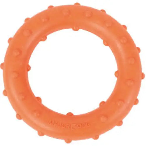 Major Dog Ring Rudi Fetch Toy - Pet Care > Toys > Dog Toys