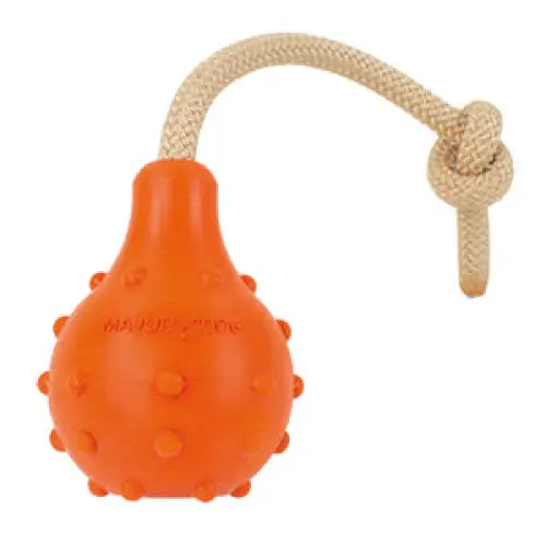 Major Dog Swimming Eddy Floating Fetch Toy with Handle - Large - Pet Care > Toys > Dog Toys