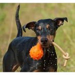 Major Dog Swimming Eddy Floating Fetch Toy with Handle - Large - Pet Care > Toys > Dog Toys