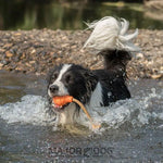 Major Dog Swimming Eddy Floating Fetch Toy with Handle - Small - Pet Care > Toys > Dog Toys