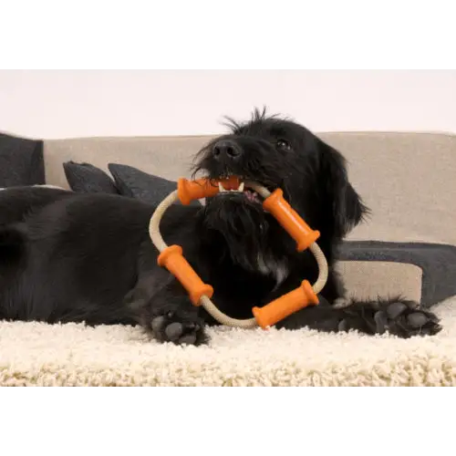 Major Dog Tussle Dummy Dog Toy Small - Tug Toy - Pet Care > Toys > Dog Toys