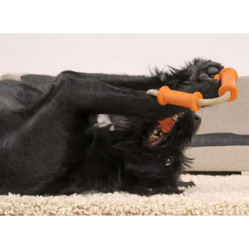 Major Dog Tussle Dummy Dog Toy Small - Tug Toy - Pet Care > Toys > Dog Toys
