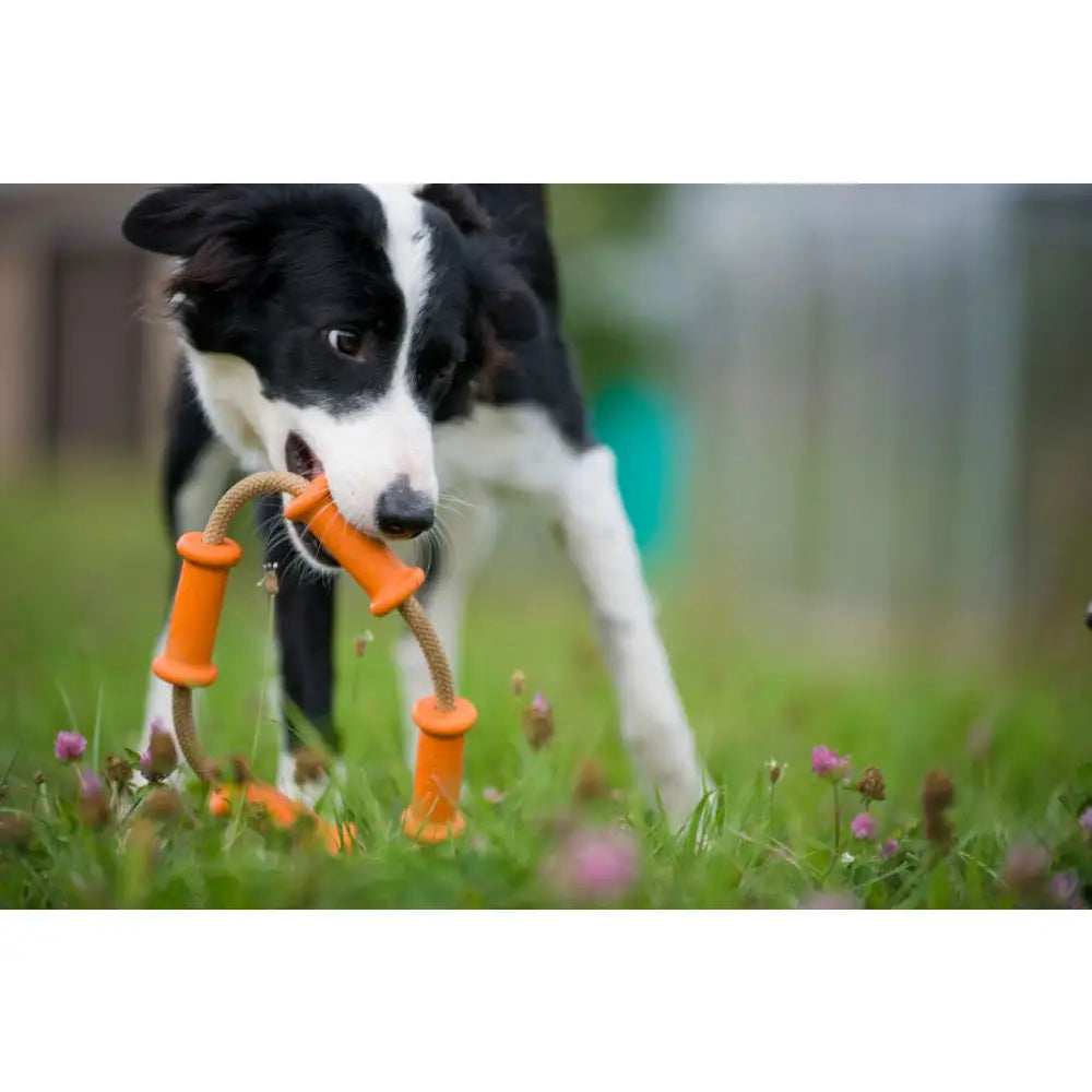 Major Dog Tussle Dummy Dog Toy Small - Tug Toy - Pet Care > Toys > Dog Toys