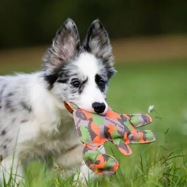 Major Dog Waldi Mini - Floating Toy - Pet Care > Toys > Dog Toys
