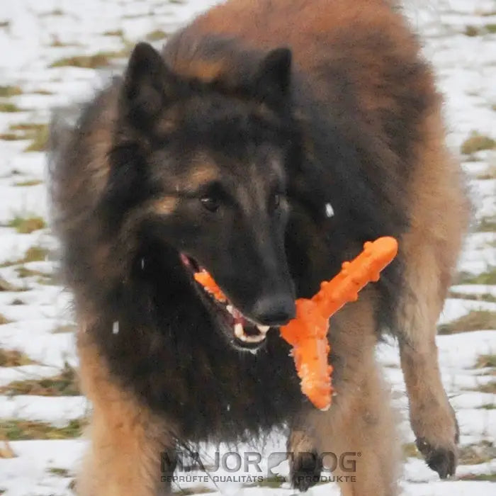 Major Dog Whirl Fetch Toy - Large - Pet Care > Toys > Dog Toys